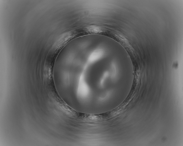 X0000091080330200708061342