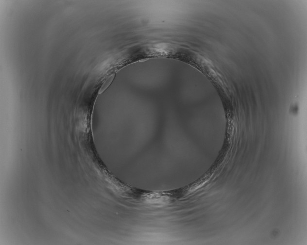 X0000091080331200708061342