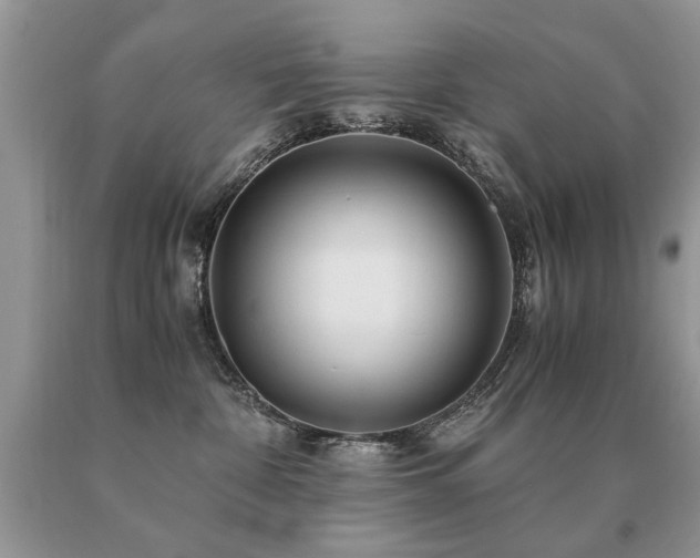 X0000091080332200708061342