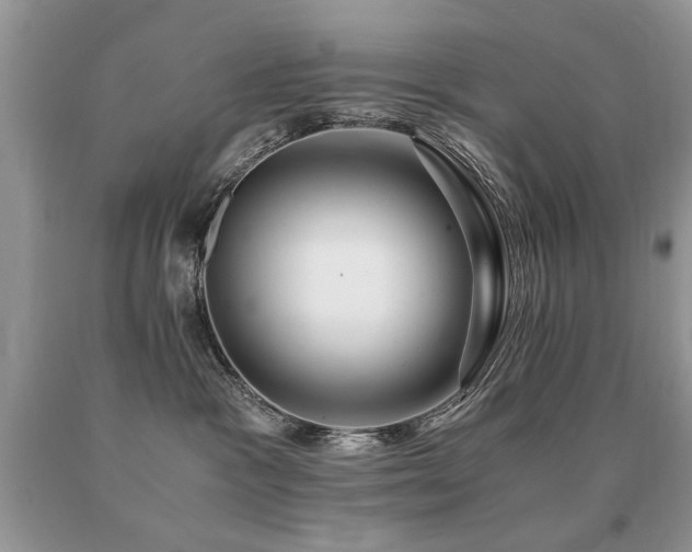 X0000091080333200708061342