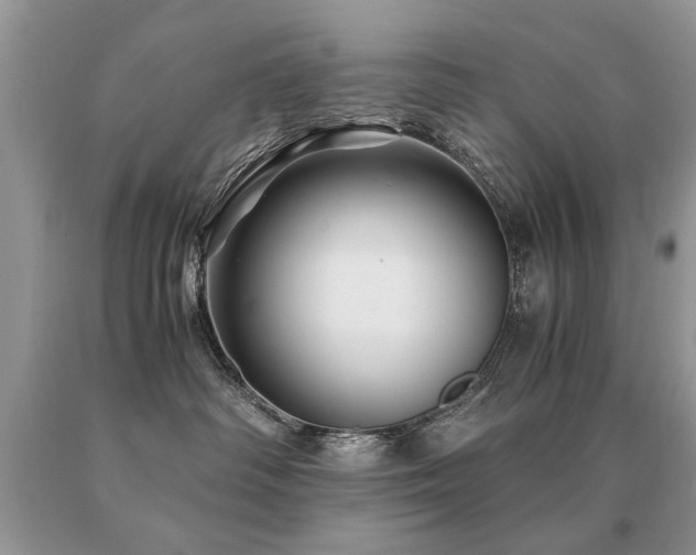 X0000091080334200708061342