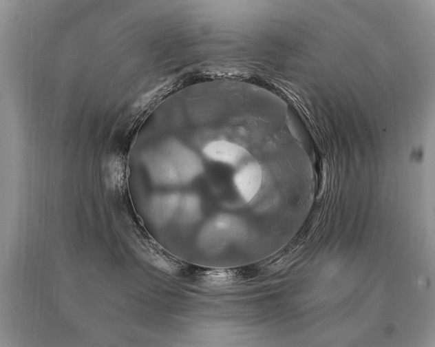 X0000091080335200708061342