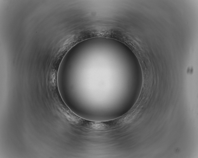 X0000091080336200708061342