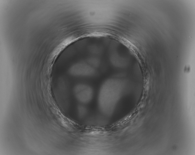 X0000091080337200708061341