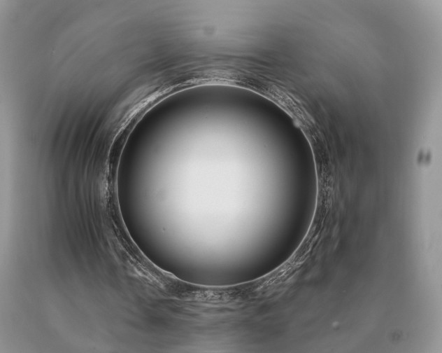 X0000091080338200708061341