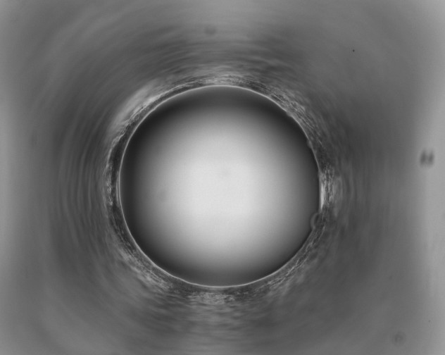 X0000091080339200708061341