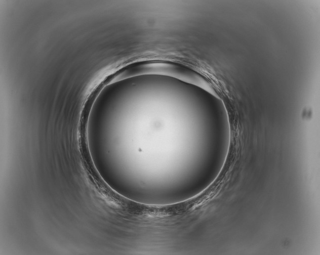 X0000091080340200708061341