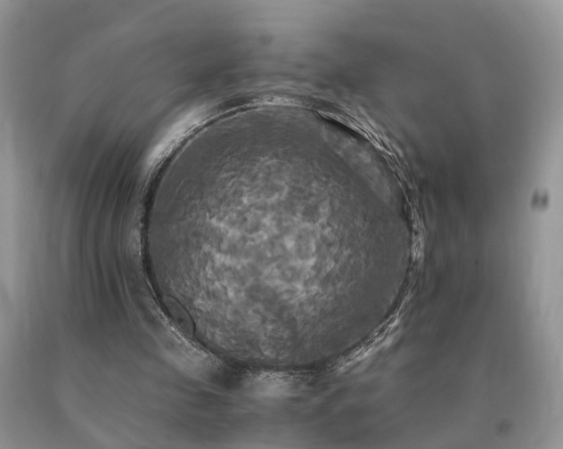 X0000091080341200708061341