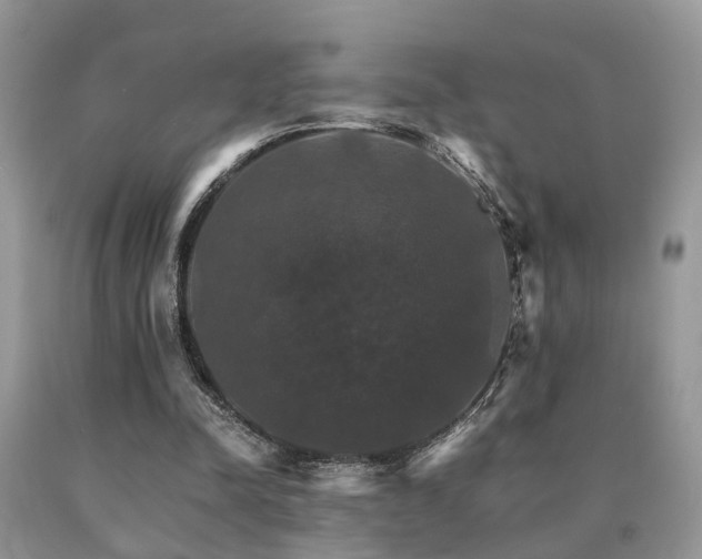 X0000091080342200708061341