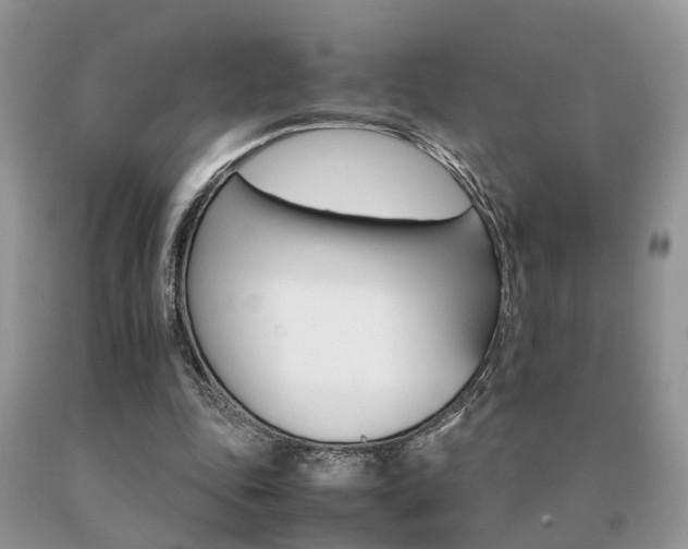 X0000091080343200708061341