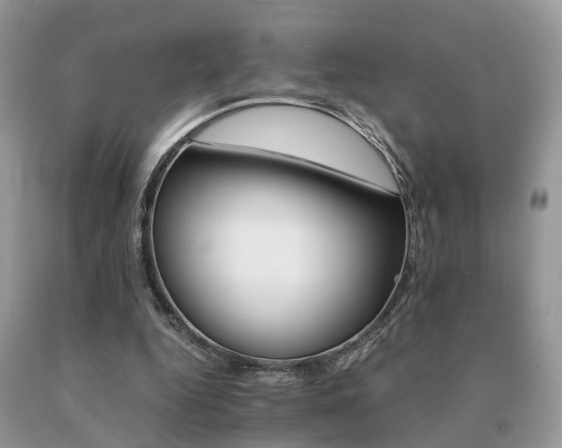 X0000091080344200708061341