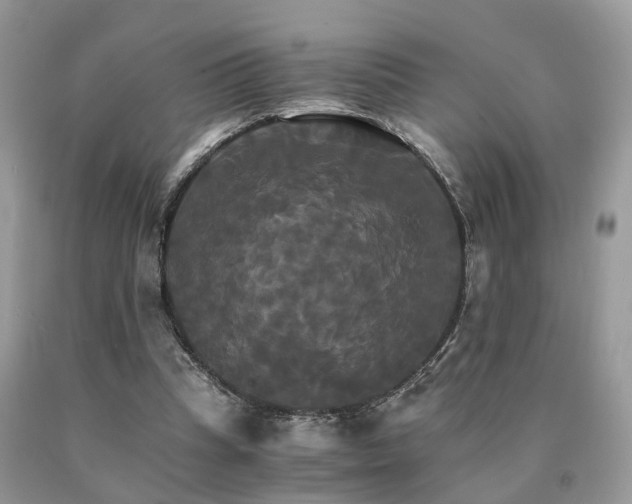 X0000091080345200708061341