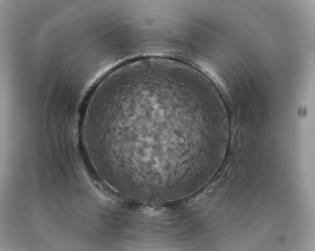 X0000091080346200708061341