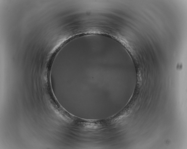 X0000091080347200708061341