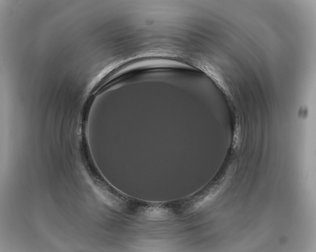 X0000091080348200708061341