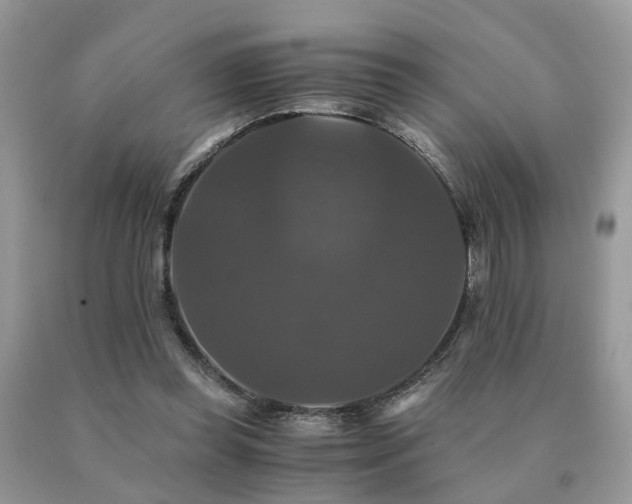 X0000091080349200708061341