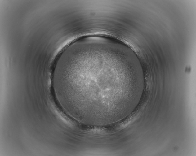 X0000091080350200708061341