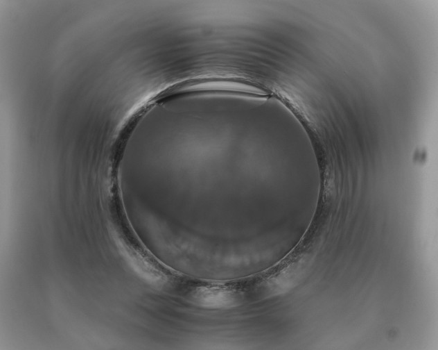 X0000091080351200708061341