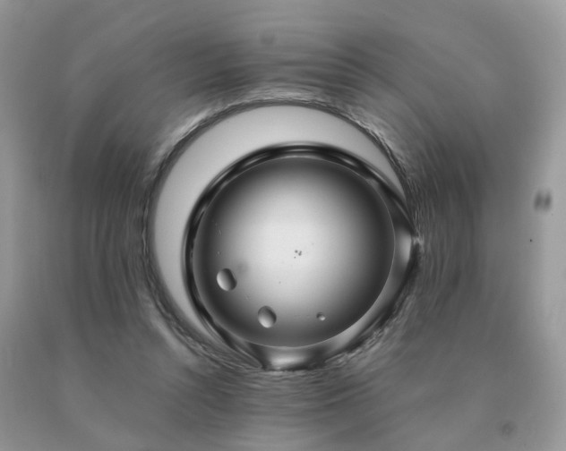 X0000091080352200708061341