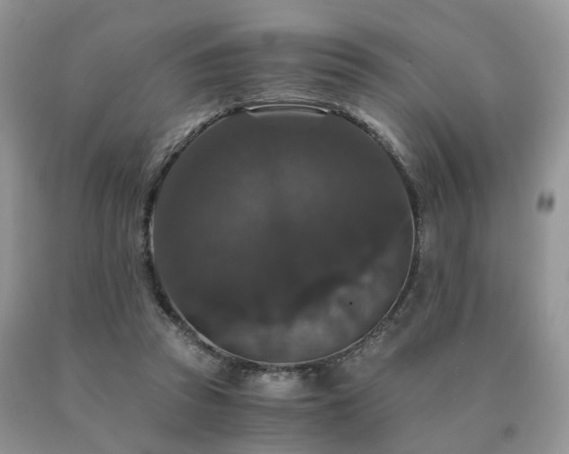 X0000091080353200708061341