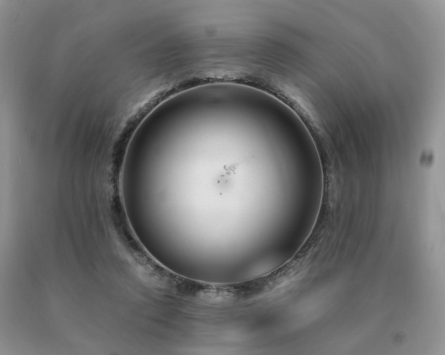 X0000091080354200708061341