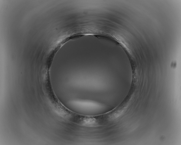 X0000091080355200708061341