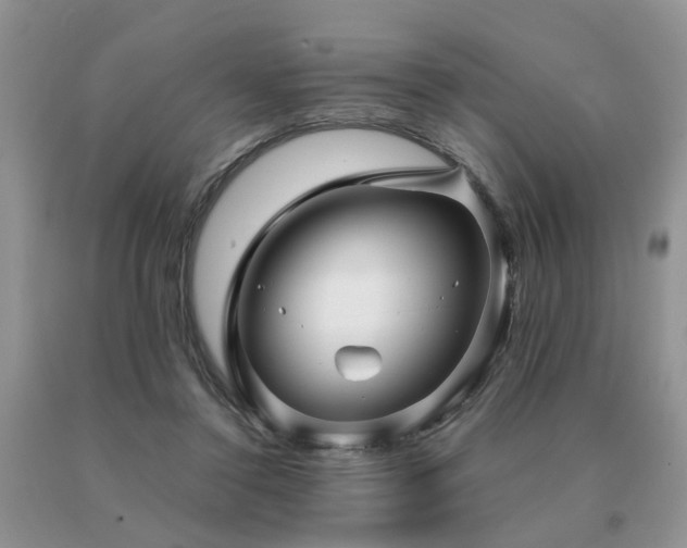 X0000091080356200708061341