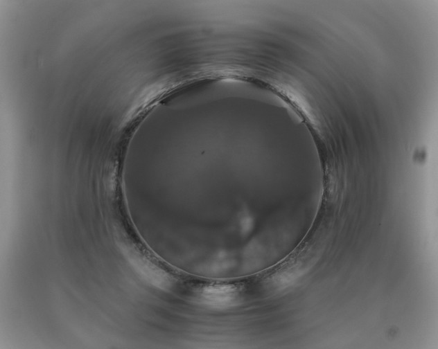 X0000091080357200708061342