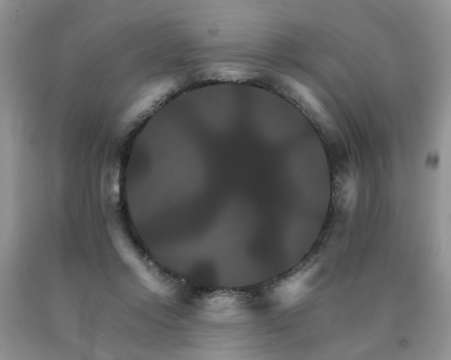 X0000091080358200708061342