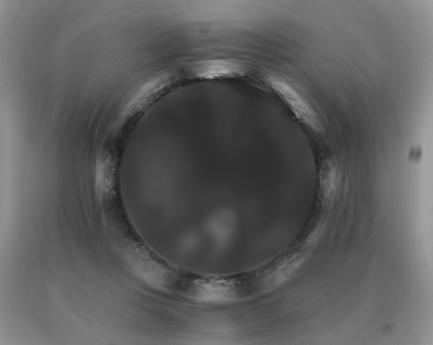 X0000091080359200708061342