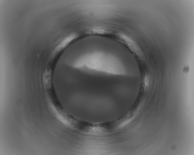 X0000091080360200708061342