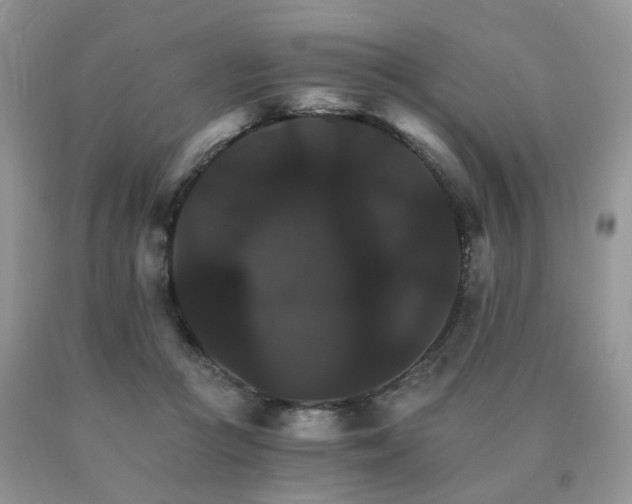 X0000091080361200708061342