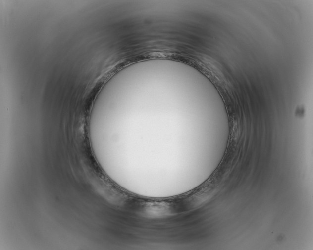 X0000091080363200708061342