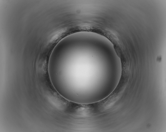 X0000091080364200708061342