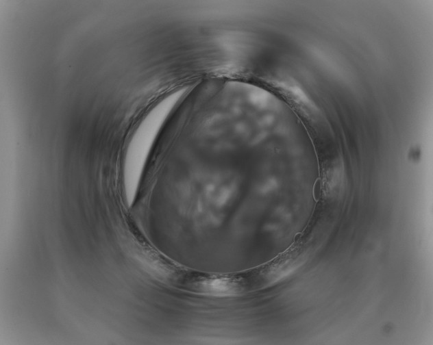 X0000091080365200708061342