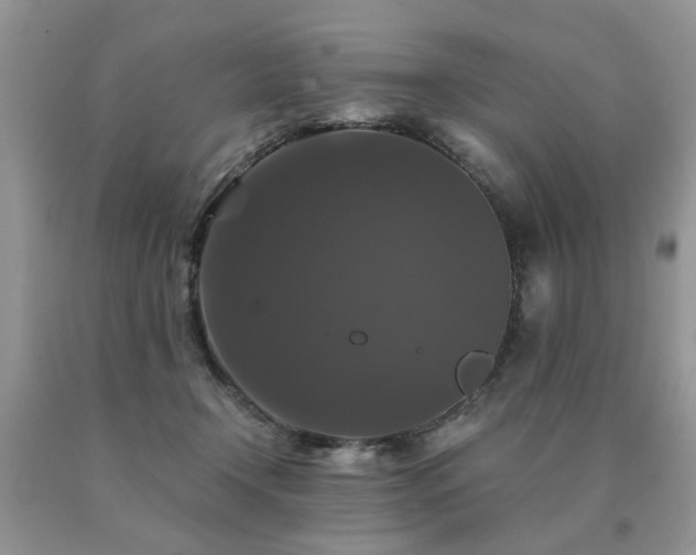 X0000091080366200708061342