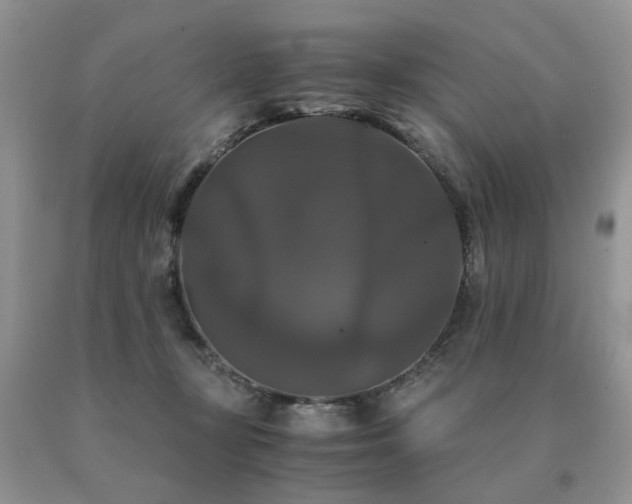 X0000091080367200708061342