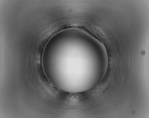 X0000091080368200708061342