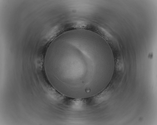 X0000091080370200708061342