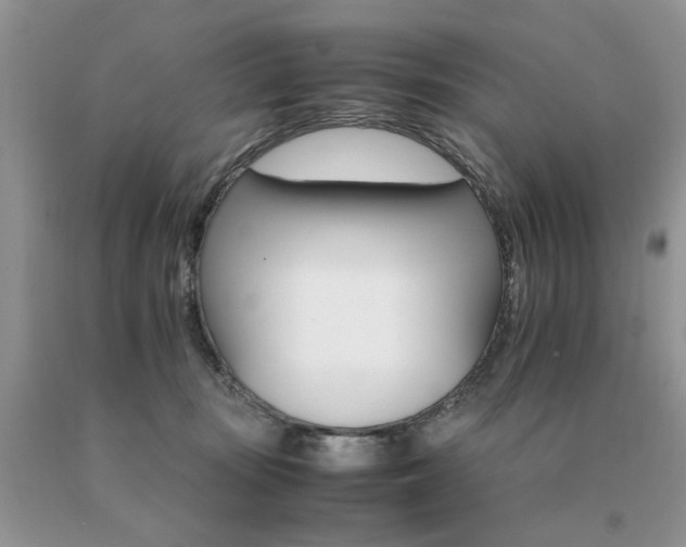 X0000091080371200708061342