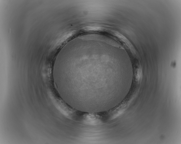 X0000091080372200708061342