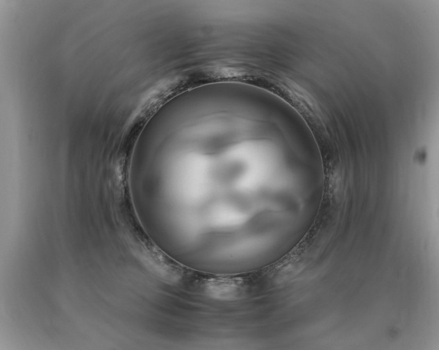 X0000091080373200708061342