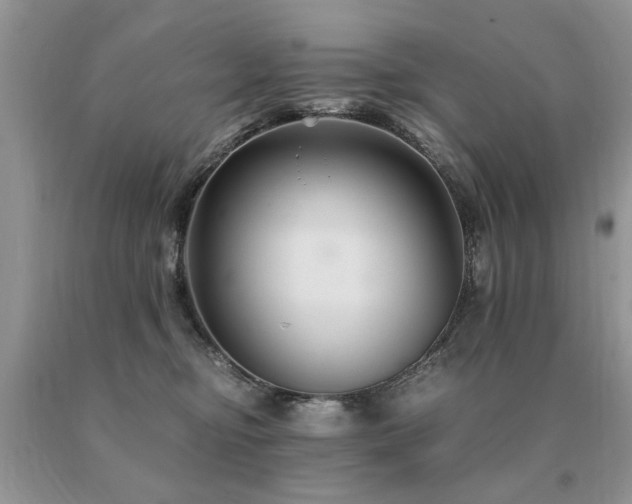 X0000091080374200708061342