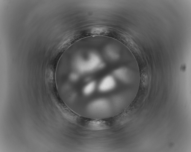 X0000091080375200708061342