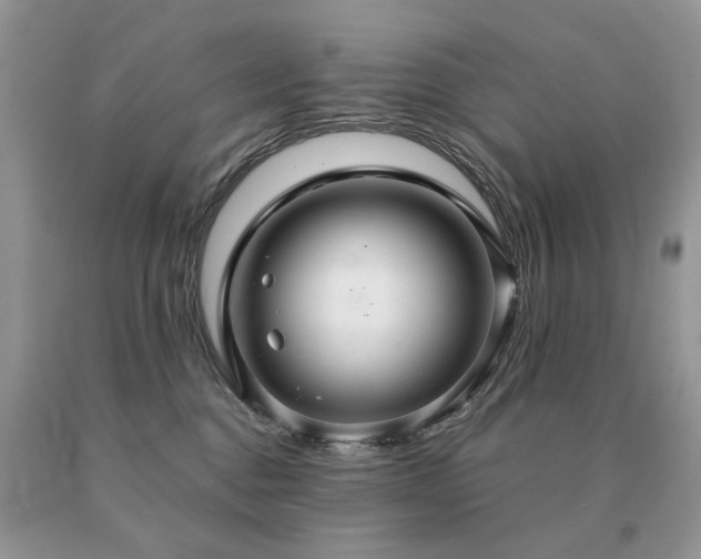 X0000091080376200708061342