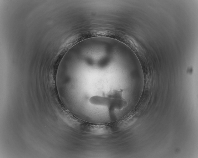 X0000091080377200708061342