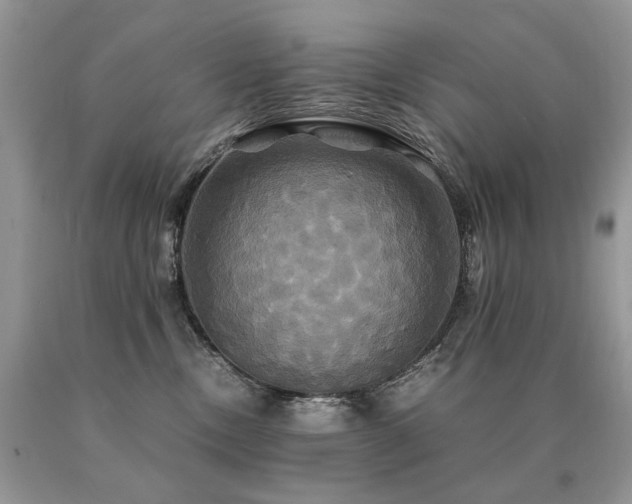 X0000091080378200708061342