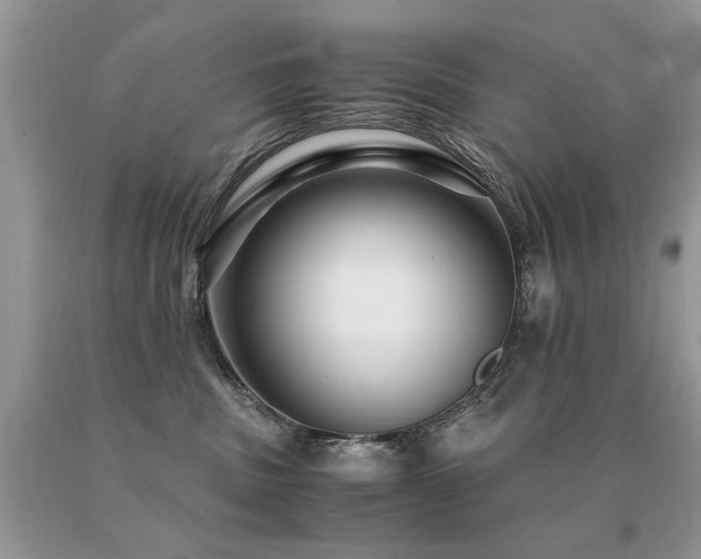 X0000091080379200708061342