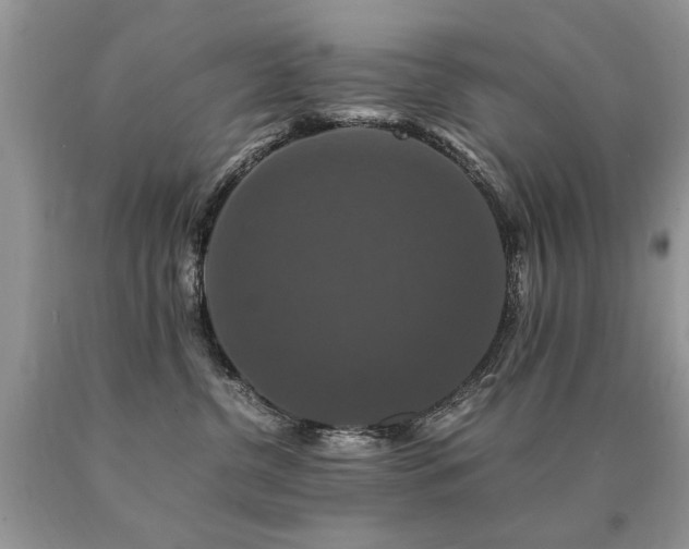 X0000091080380200708061342