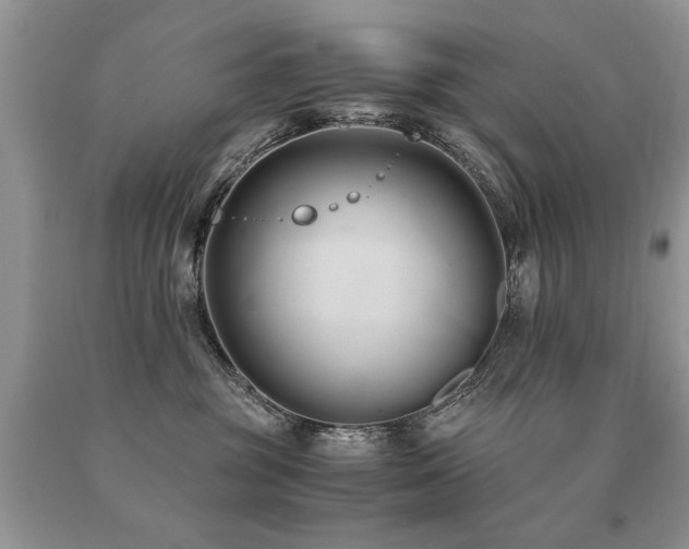 X0000091080381200708061342